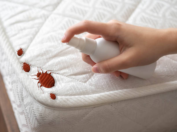 Best Residential Pest Control  in Churchville, NY